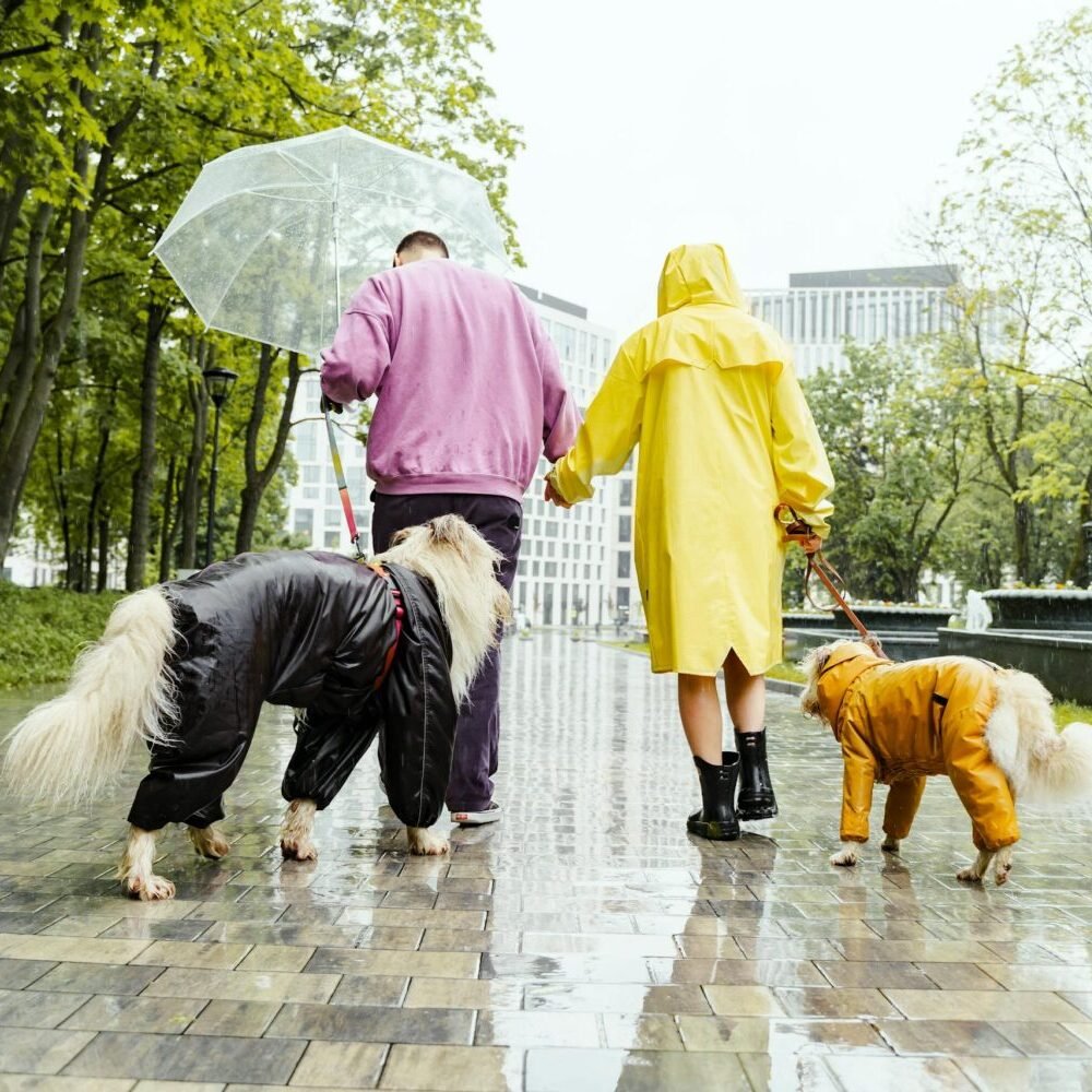 A couple strolls through a rain-soaked park with two dogs in raincoats, creating an urban rainy day scene.